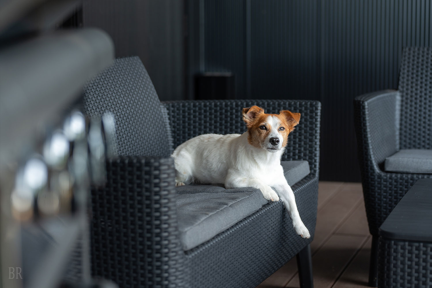 愛犬と過ごす、完全プライベートステイ